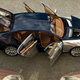 Foto: Bugatti